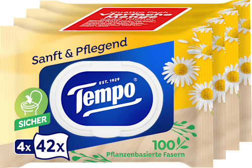Feuchtes Toilettenpapier sanft & pflegend Kamille 4x(4x42 St), 672 St