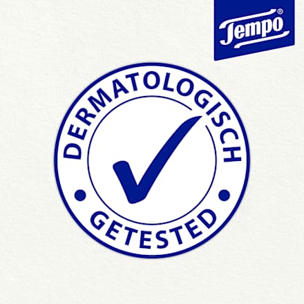 Handhygiene Tücher, Reisegröße, 10 St