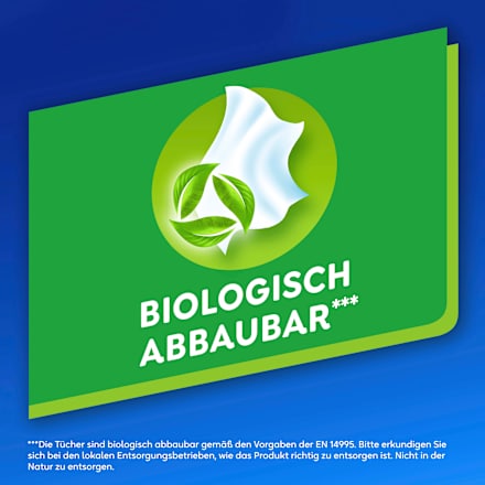 Zakdoeken (30x10 stuks), 300 stuks