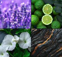 Deodorant Spray Men Ebony &amp; Ginseng, 150 ml