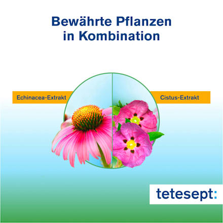 Echinacea + Cistus Plus tabletten, 20 st