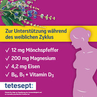 FemiComplex Monnikspeper Tabletten 60 stuks, 43,5 g