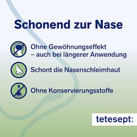 Nasenspray Schnupfen Spray, 20 ml