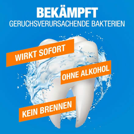 Mundspülung Frischer Atem Icy Mint, 500 ml