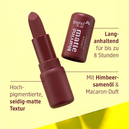 Lippenstift Blurring Matte 240, 3 g
