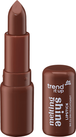 Lippenstift Melting Shine 110, 3 g
