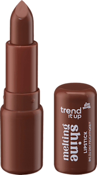 Lippenstift Melting Shine 110, 3 g