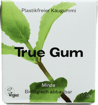 Kaugummi, Minze, zuckerfrei, 21 g