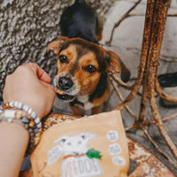 Hondensnacks met tuinbonen, duindoorn en kurkuma, Veggies immune, 125 g