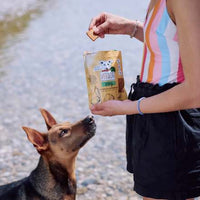Hondensnacks met wortel- en beukenrook, gedroogd vlees, 80 g