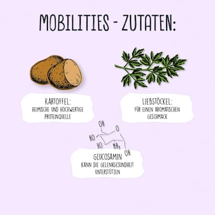 Hondenkauwsnack met lavas en glucosamine, Mobilities, 115 g