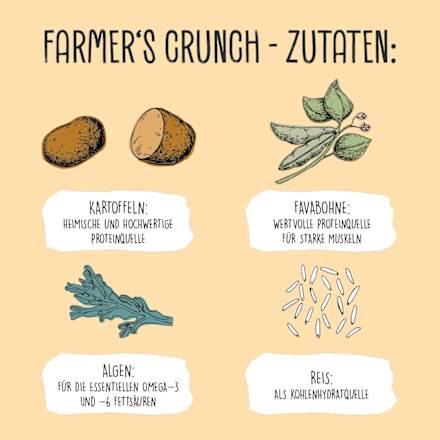 Trockenfutter Hund mit Kartoffel, Erbse & Favabohne, Farmers Crunch, vegan, 5 kg