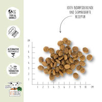 Trockenfutter Hund mit Süßkartoffeln & Linsen, green crunch, Adult, 10 kg VEGDOG