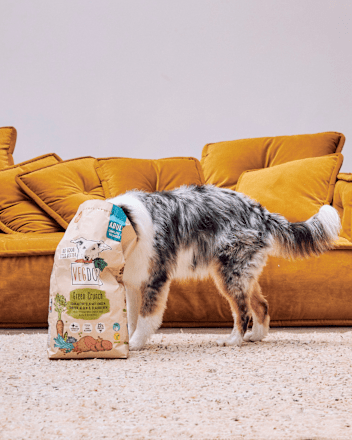 Trockenfutter Hund mit Süßkartoffeln & Linsen, Green Crunch, vegan, 5 kg VEGDOG