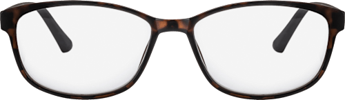 Fertig-Lesebrille demi braun +1,00, 1 St