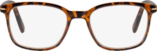 Fertig-Lesebrille glänzend/transparent demi braun +3,00, 1 St