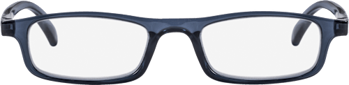 Fertig-Lesebrille grau/blau +2,50, 1 St