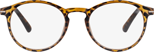 Fertig-Lesebrille matt transparent demi braun +3,00, 1 St