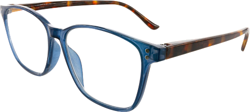 Fertig-Lesebrille mehrfarbig +2,50, 1 St VISIOMAX