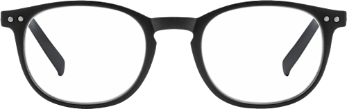 Fertig-Lesebrille schwarz/grau +2,00, 1 St