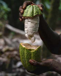 Schokolade, Whole Cocoa Fruit, 80 g