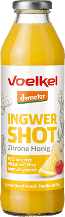 Ingwer & Zitrone-Honig Shot mit Fruchtsäften, 0,5 l