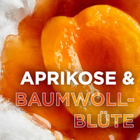 Kinder Shampoo & Spülung 2in1 Aprikose & Baumwollblüte, 300 ml