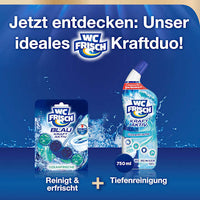 WC Stone Blue Power Active Ocean Fresh, 2 stuks