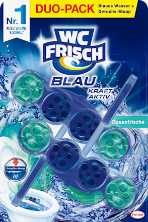 WC Stone Blue Power Active Ocean Fresh, 2 stuks