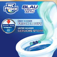 WC Stone Blue Power Active Ocean Fresh, 2 stuks