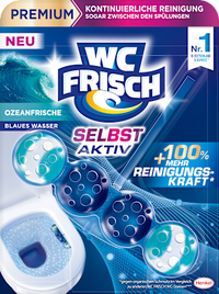 WC-Stein Blau Selbst Aktiv Ozeanfrische, 1 St
