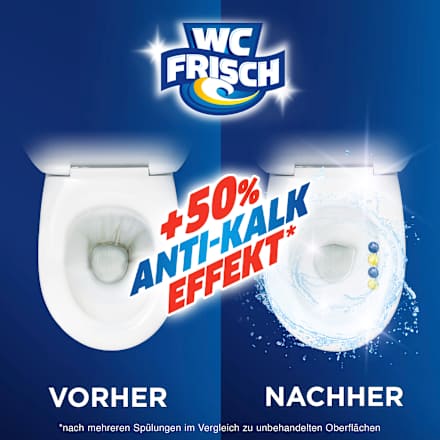 WC Stone Power Active Blossom Fresh, 1 st.