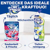 WC Stone Power Active Blossom Fresh, 1 st.