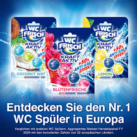 WC-Stein Kraft Aktiv Blütenfrische, 2 St