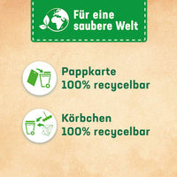 WC-Stein Kraft Aktiv Blütenfrische, 2 St