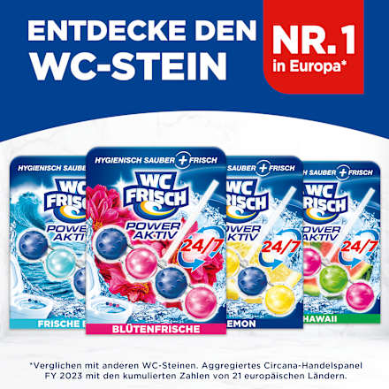 WC Stone Power Active Blossom Fresh, 1 st.