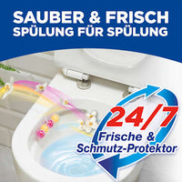 WC-Stein Kraft Aktiv Früchtezauber, 2 St