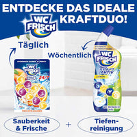 WC-Stein Kraft Aktiv Früchtezauber, 2 St