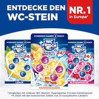 WC-Stein Kraft Aktiv Früchtezauber, 2 St