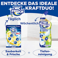 Toiletsteen Kraft Aktiv Citroen, 2 st
