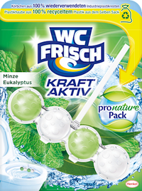 WC-Stein Kraft Aktiv Minze & Eukalyptus, 1 St