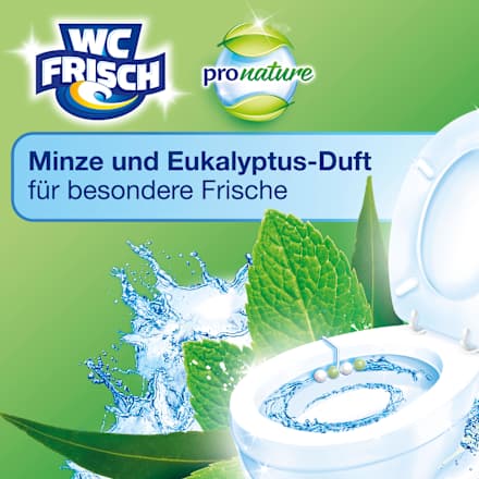 WC Stone Kraft Aktiv Pro Nature Mint &amp; Eucalyptus, 1 st.