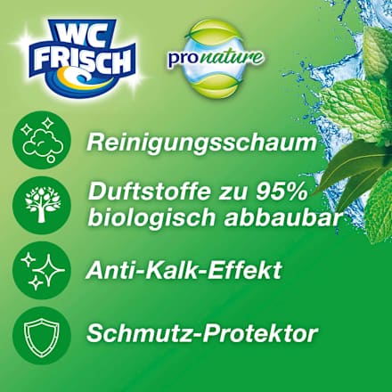 WC Stone Kraft Aktiv Pro Nature Mint &amp; Eucalyptus, 1 st.