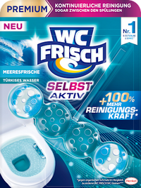 WC-Stein Türkis Selbst Aktiv Meeresfrische, 1 St