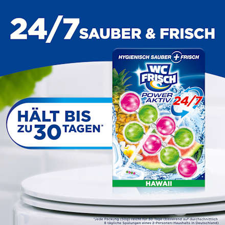 Toiletstenen Kraft Aktiv Hawaii, 2 stuks