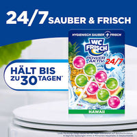 Toiletstenen Kraft Aktiv Hawaii, 2 stuks