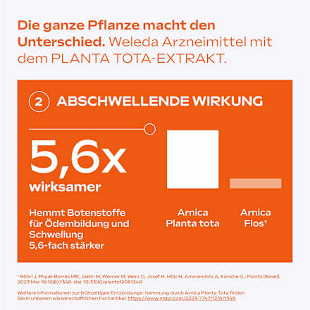 Arnika-Salbe 10%, 70 g