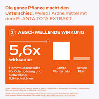 Arnika-Salbe 10%, 70 g