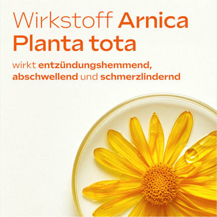Arnika-Salbe 10%, 70 g