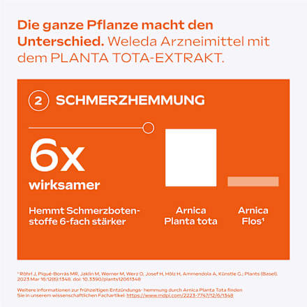 Arnika-Salbe 10%, 70 g